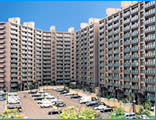 Condominium Management