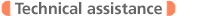 Technical assistance